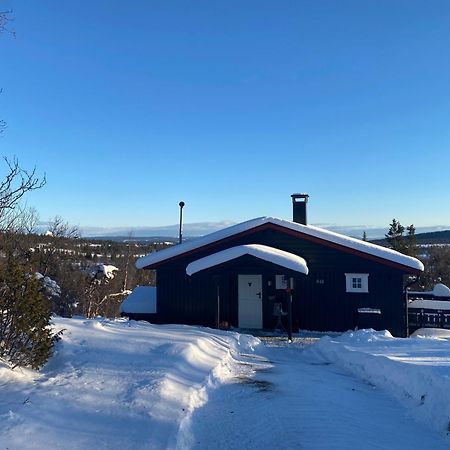 Cabin In The Mountain, Outstanding View & Solar Energy Slidre Luaran gambar