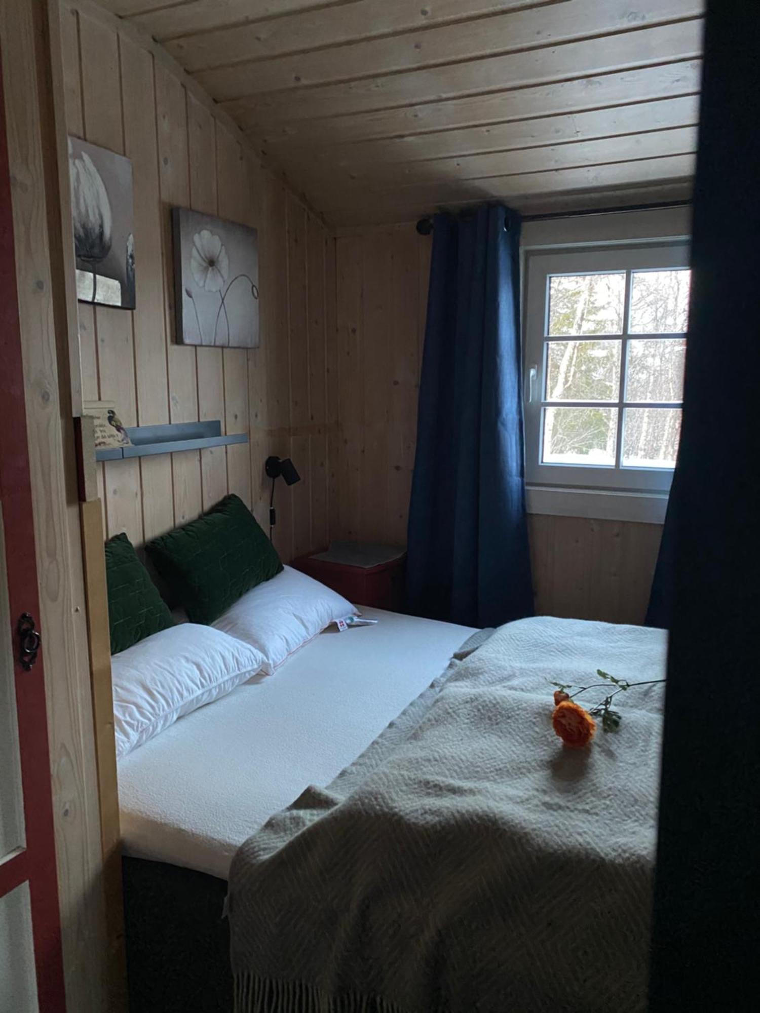 Cabin In The Mountain, Outstanding View & Solar Energy Slidre Luaran gambar